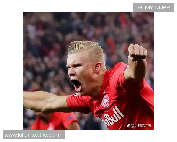 哈兰德：我担负帮挪威进世界杯任务，这6年来一向承受着压力